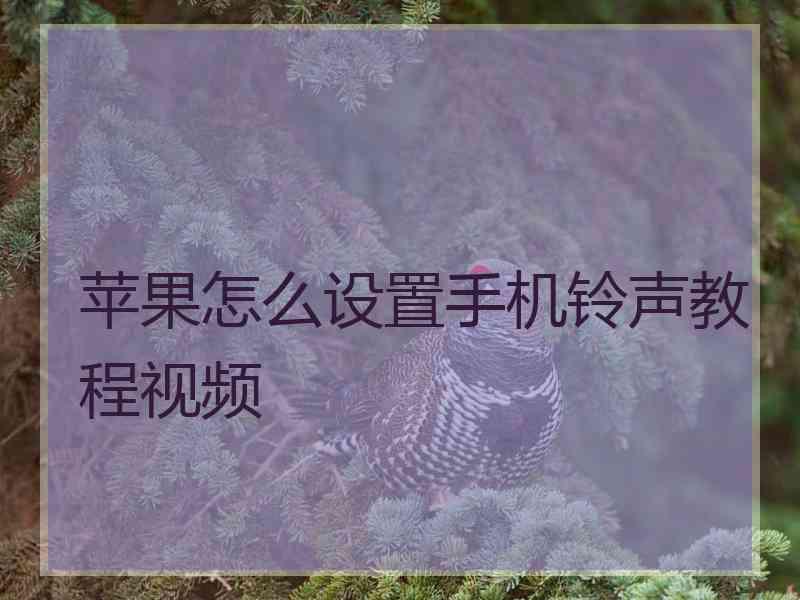 苹果怎么设置手机铃声教程视频