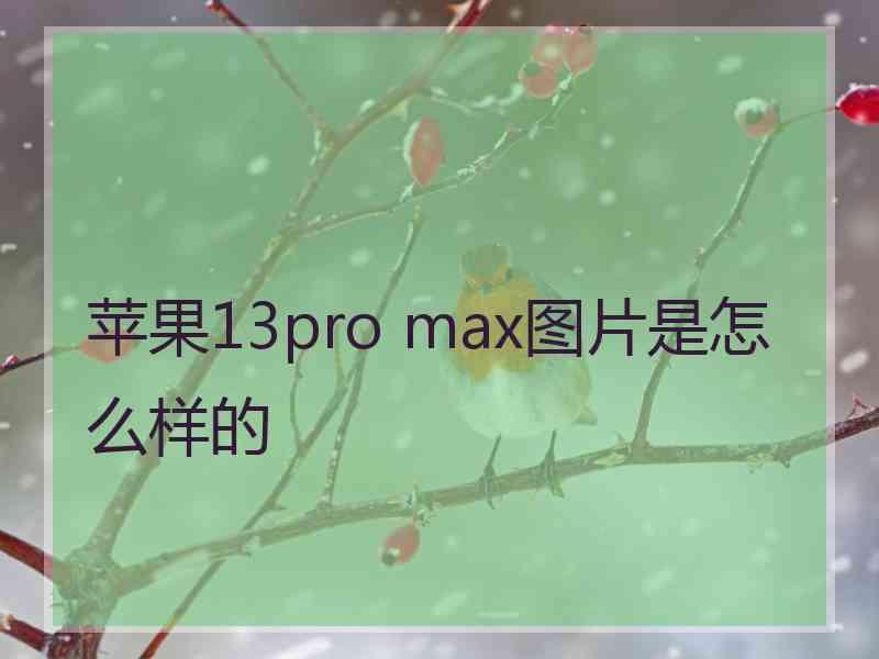 苹果13pro max图片是怎么样的