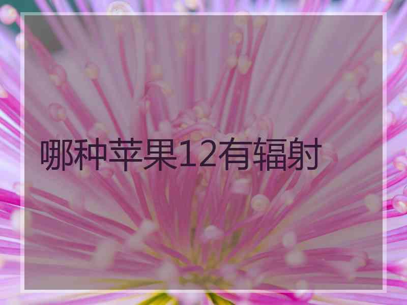 哪种苹果12有辐射