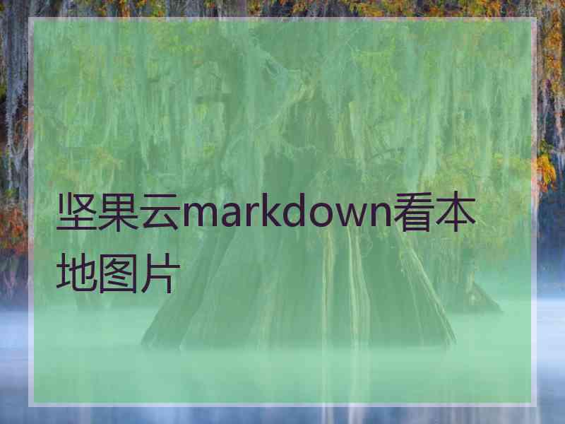 坚果云markdown看本地图片