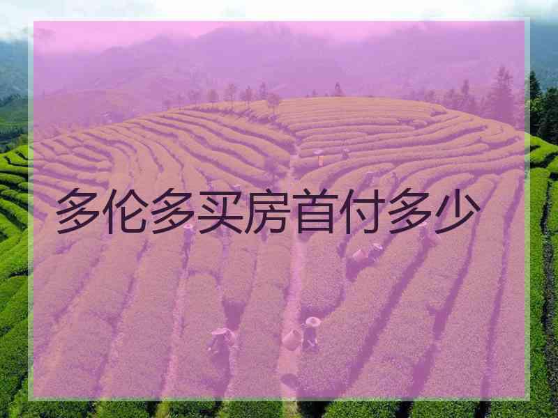 多伦多买房首付多少