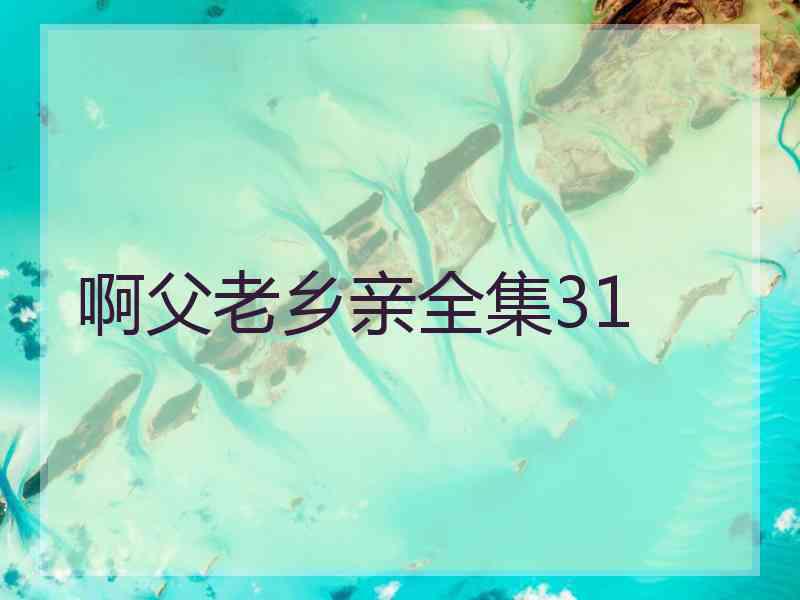 啊父老乡亲全集31