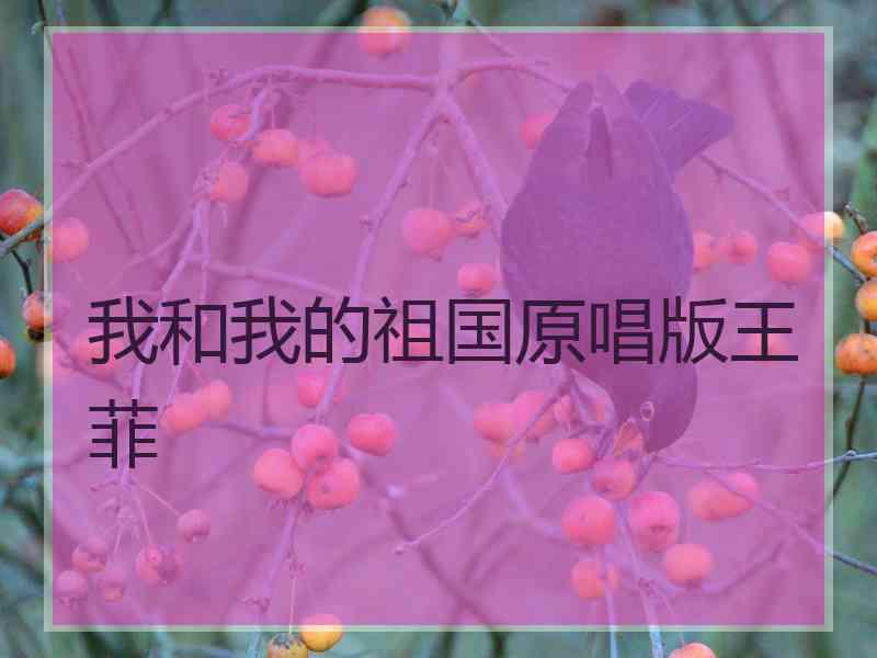 我和我的祖国原唱版王菲