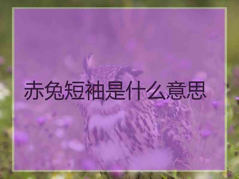 赤兔短袖是什么意思