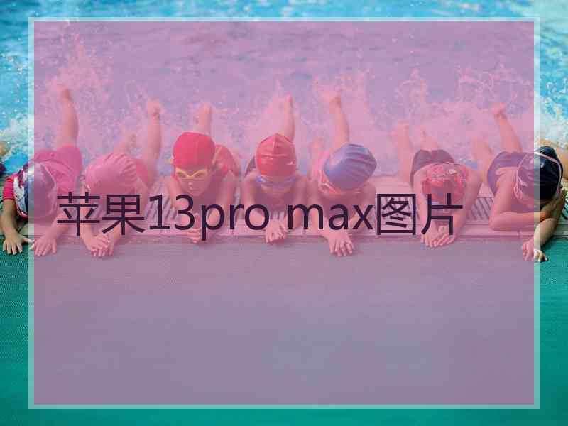 苹果13pro max图片