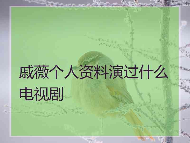 戚薇个人资料演过什么电视剧