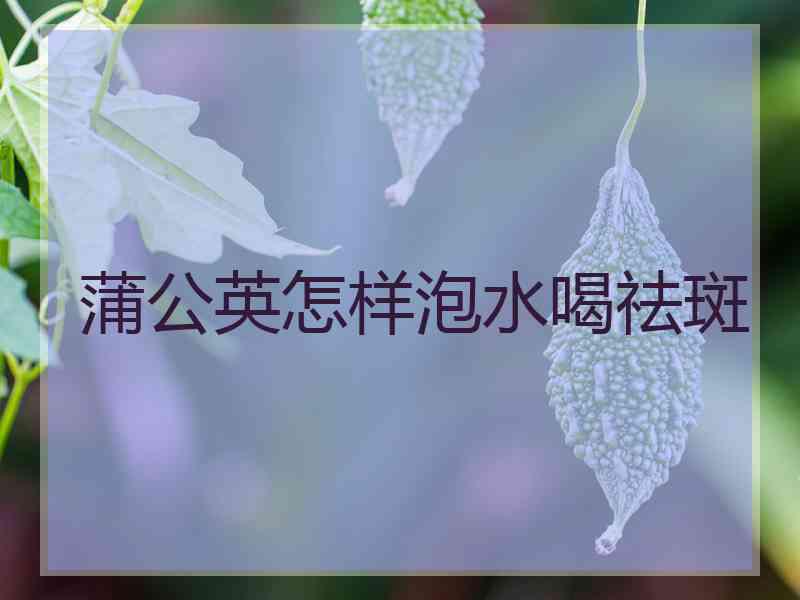 蒲公英怎样泡水喝祛斑