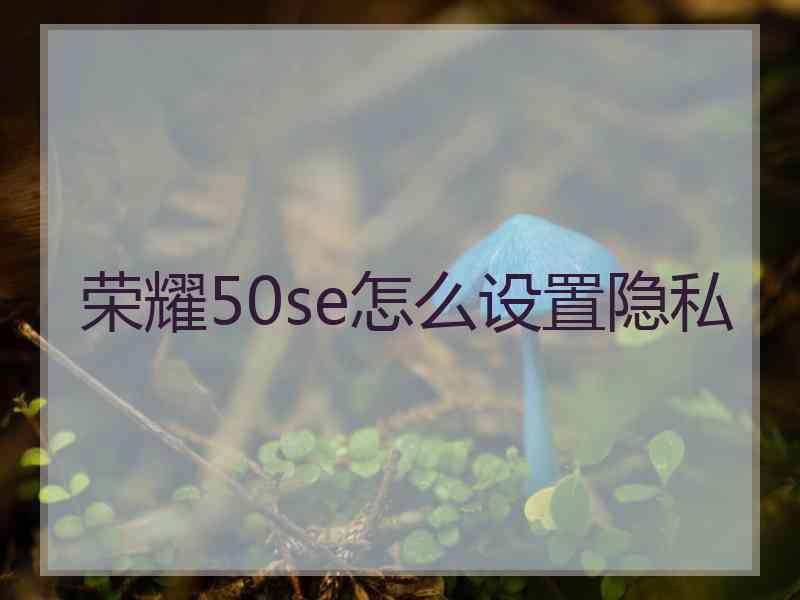 荣耀50se怎么设置隐私