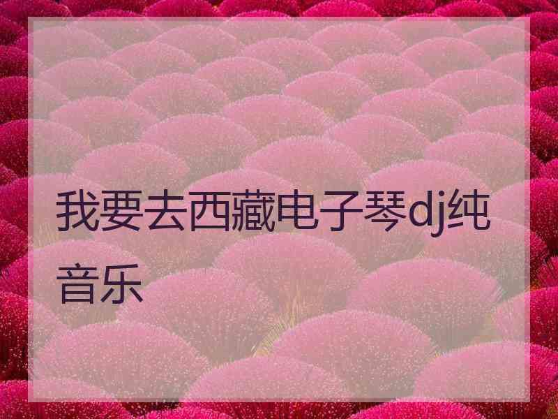 我要去西藏电子琴dj纯音乐