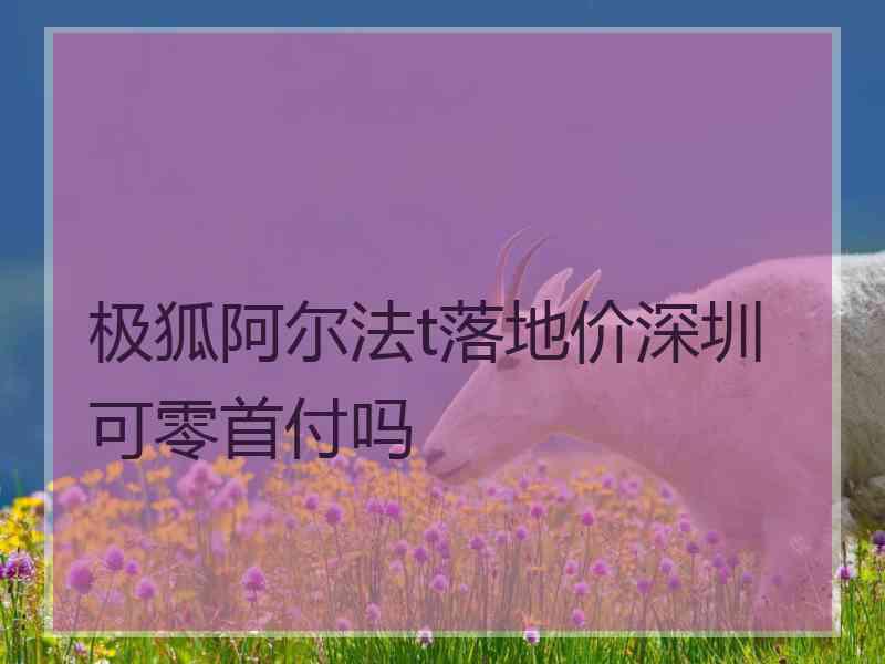 极狐阿尔法t落地价深圳可零首付吗