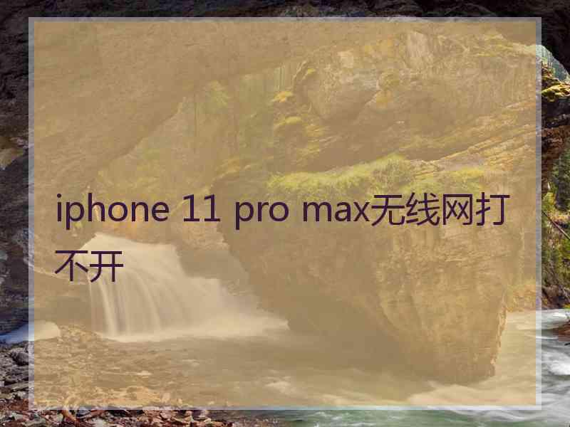 iphone 11 pro max无线网打不开