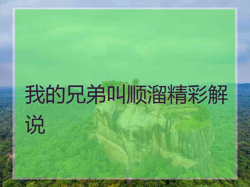 我的兄弟叫顺溜精彩解说