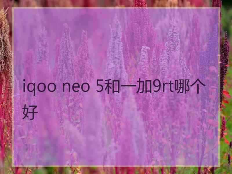 iqoo neo 5和一加9rt哪个好