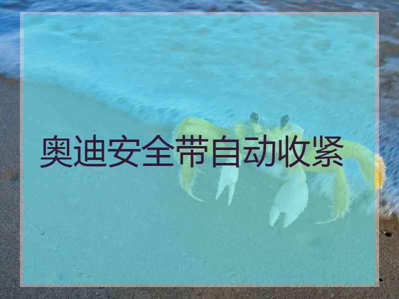 奥迪安全带自动收紧