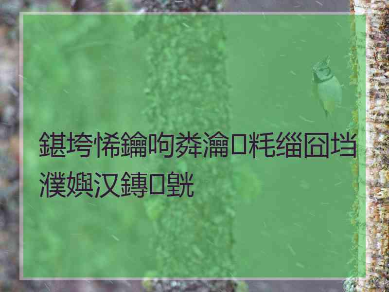 鍖垮悕鑰呴粦瀹㈢粍缁囧垱濮嬩汉鏄皝