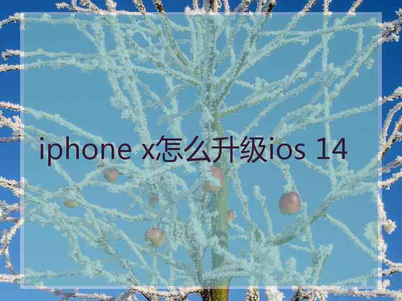 iphone x怎么升级ios 14