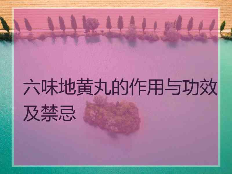 六味地黄丸的作用与功效及禁忌