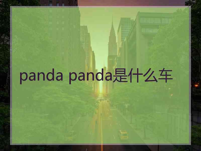 panda panda是什么车