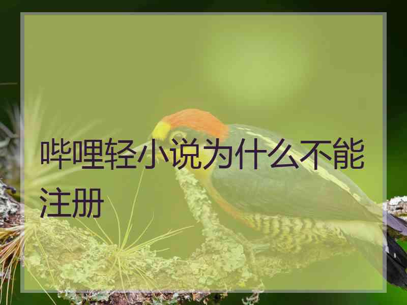 哔哩轻小说为什么不能注册