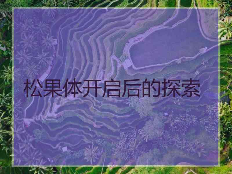 松果体开启后的探索