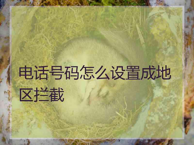 电话号码怎么设置成地区拦截