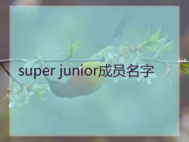 super junior成员名字