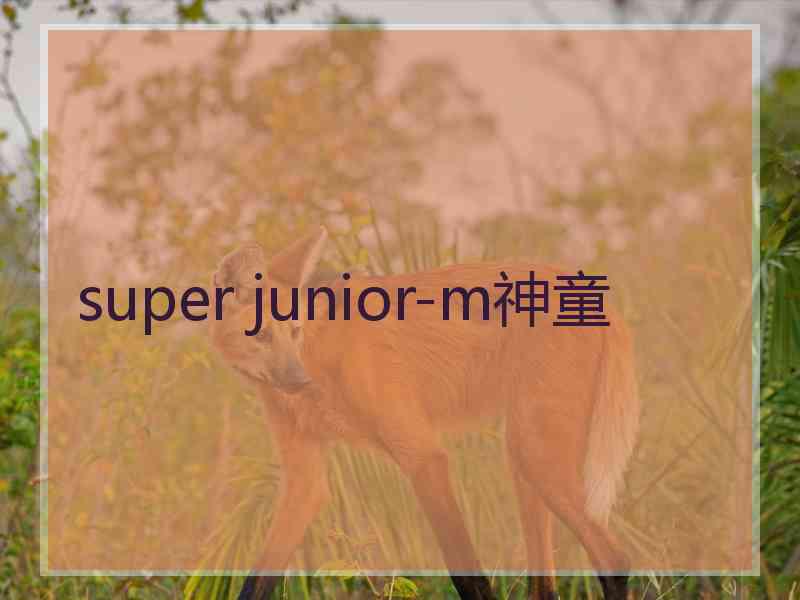 super junior-m神童