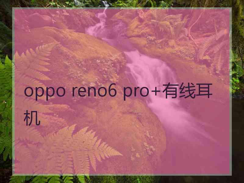 oppo reno6 pro+有线耳机