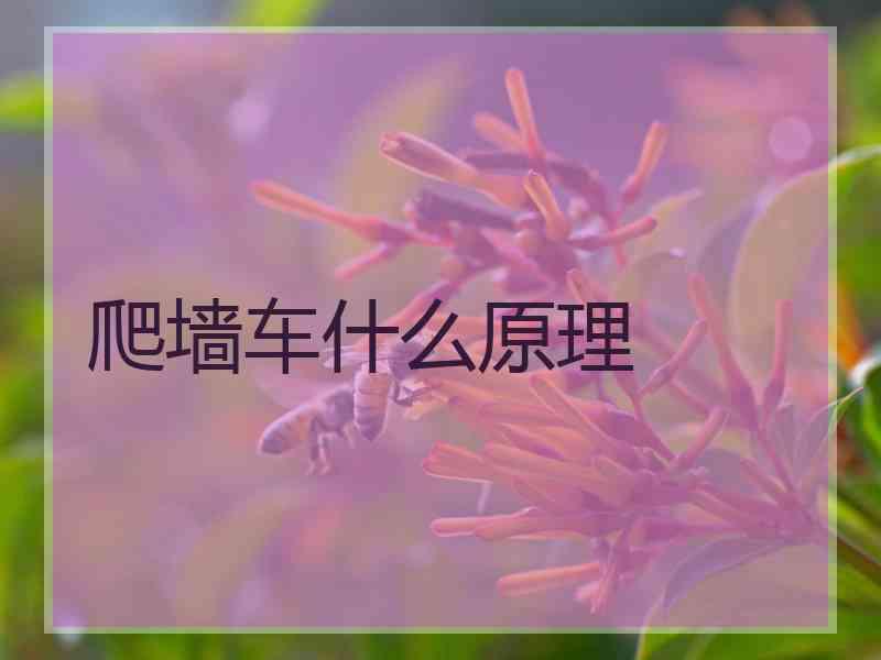 爬墙车什么原理