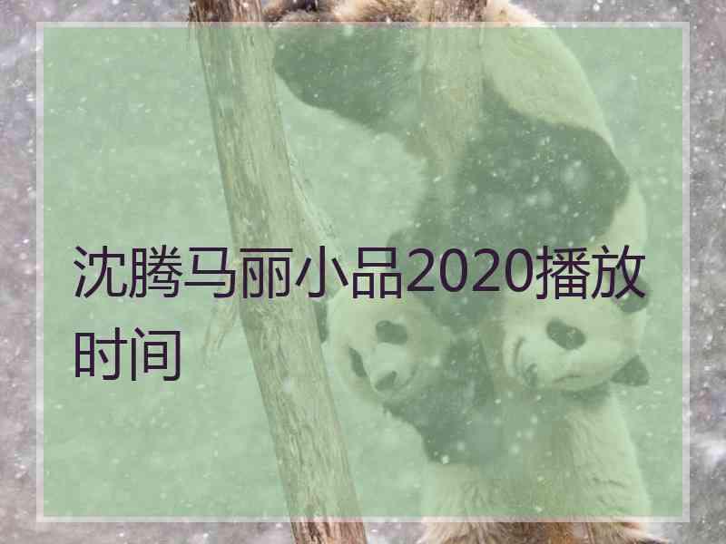 沈腾马丽小品2020播放时间