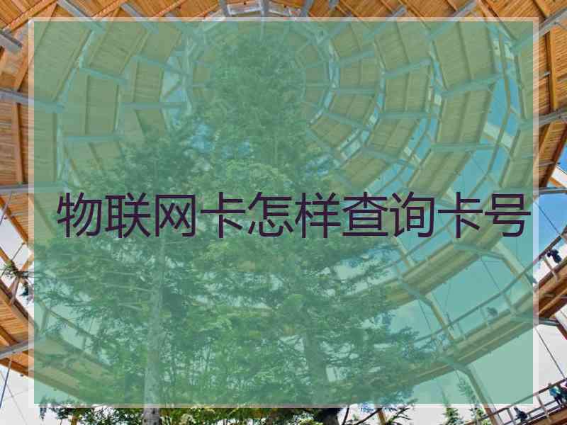 物联网卡怎样查询卡号