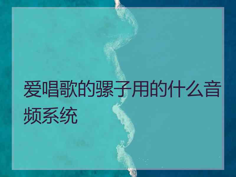 爱唱歌的骡子用的什么音频系统