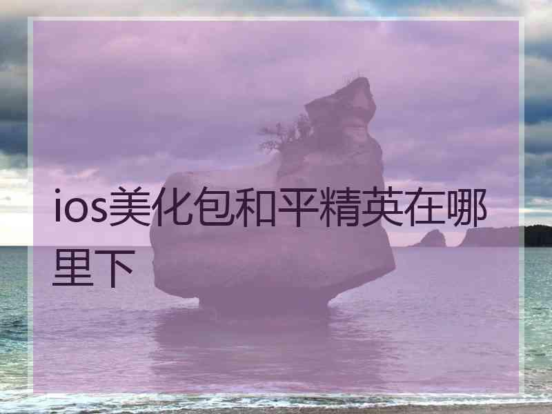 ios美化包和平精英在哪里下