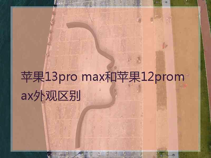 苹果13pro max和苹果12promax外观区别