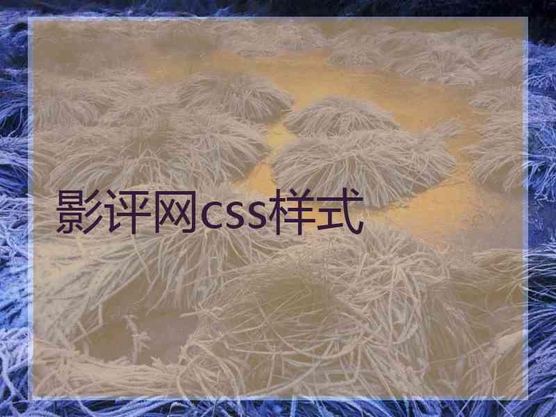 影评网css样式