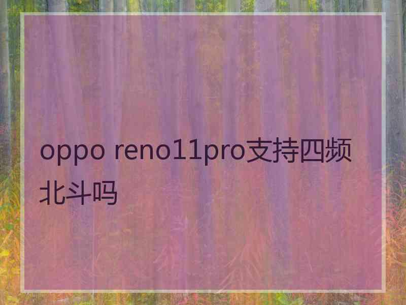 oppo reno11pro支持四频北斗吗