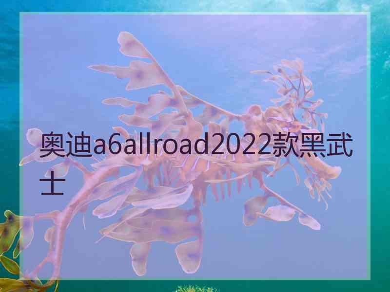 奥迪a6allroad2022款黑武士