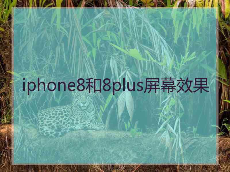 iphone8和8plus屏幕效果