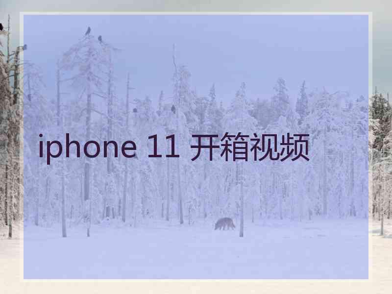 iphone 11 开箱视频