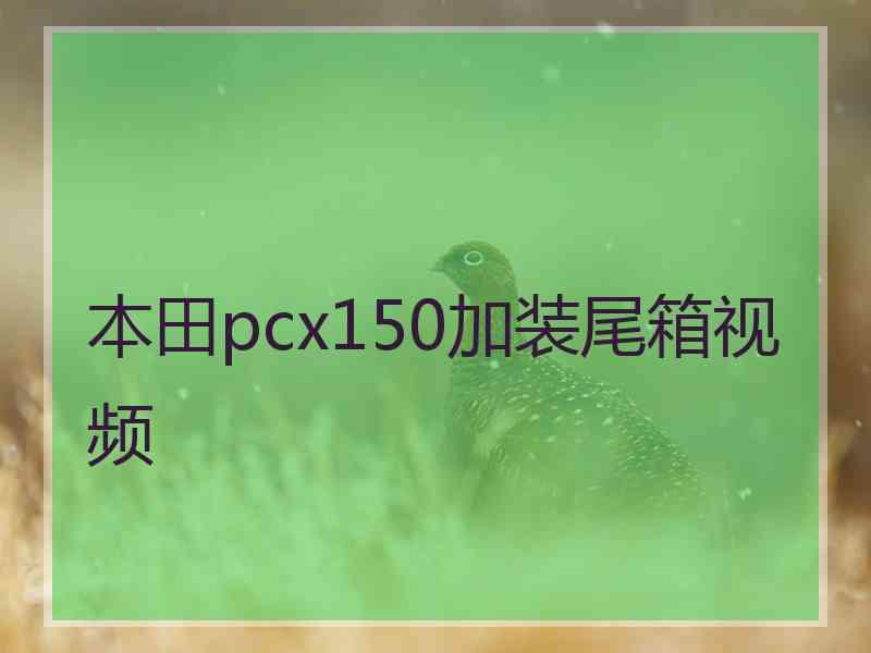 本田pcx150加装尾箱视频