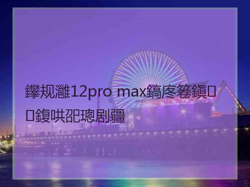 鑻规灉12pro max鎬庝箞鎭㈠鍑哄巶璁剧疆