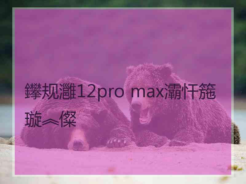 鑻规灉12pro max灞忓箷璇︽儏