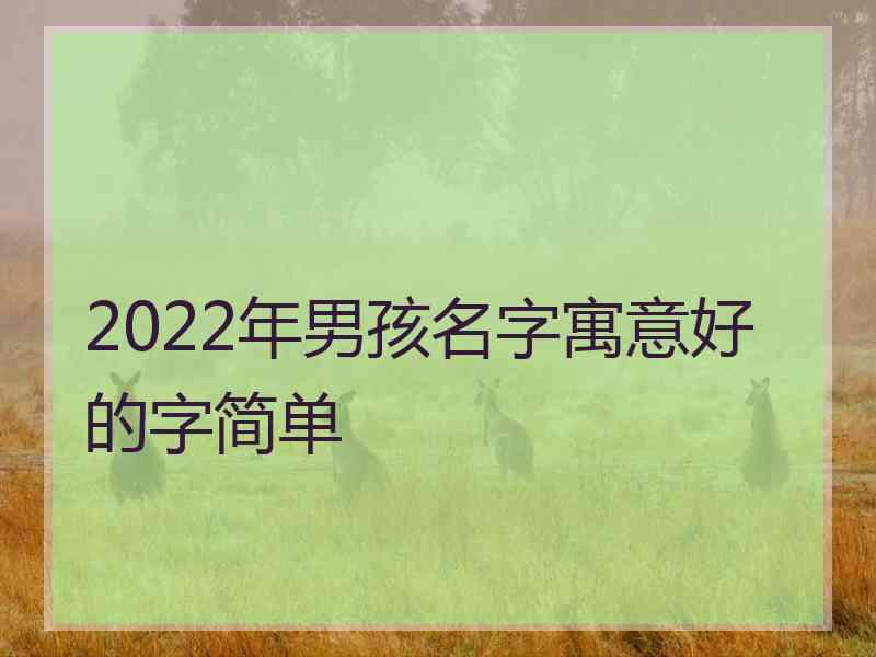 2022年男孩名字寓意好的字简单