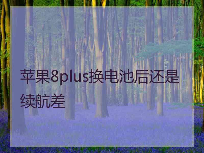 苹果8plus换电池后还是续航差