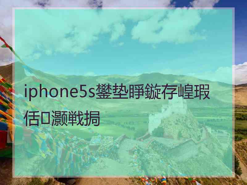 iphone5s鐢垫睜鏇存崲瑕佸灏戦挶