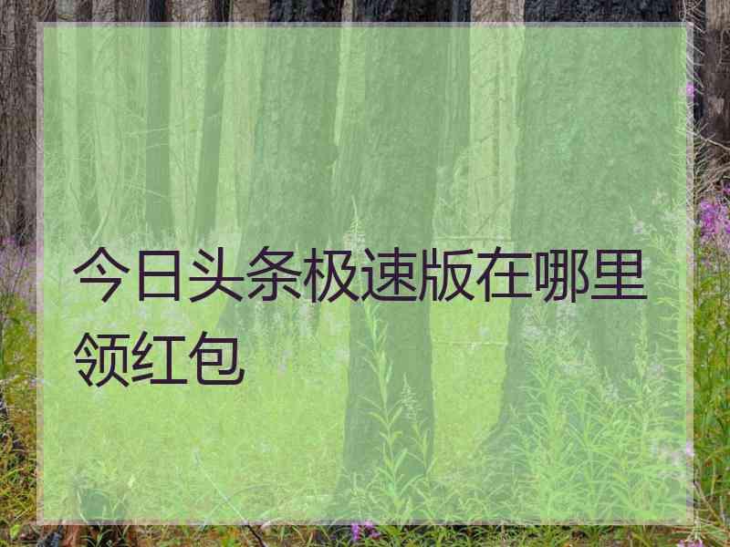 今日头条极速版在哪里领红包