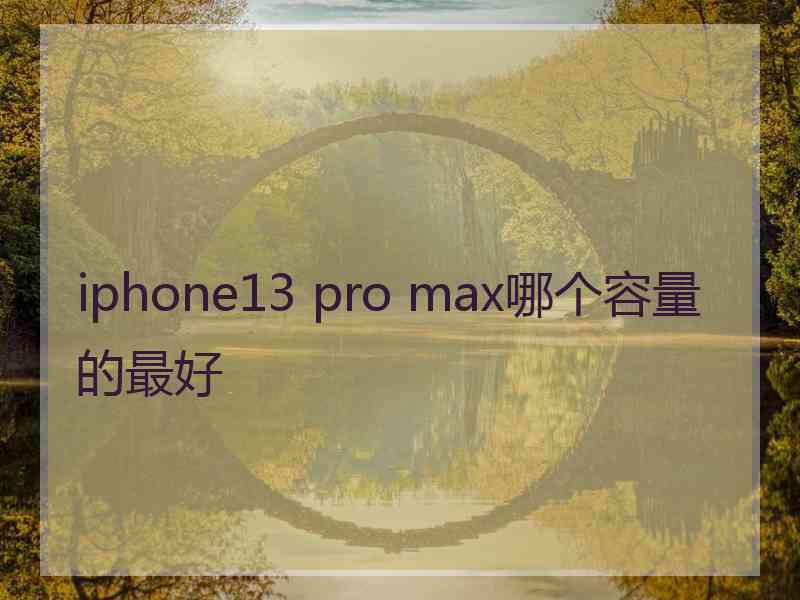 iphone13 pro max哪个容量的最好