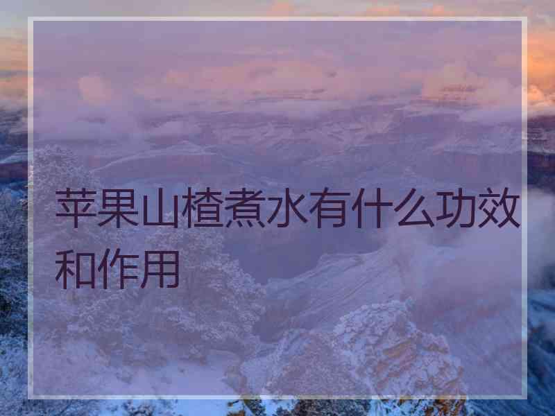 苹果山楂煮水有什么功效和作用