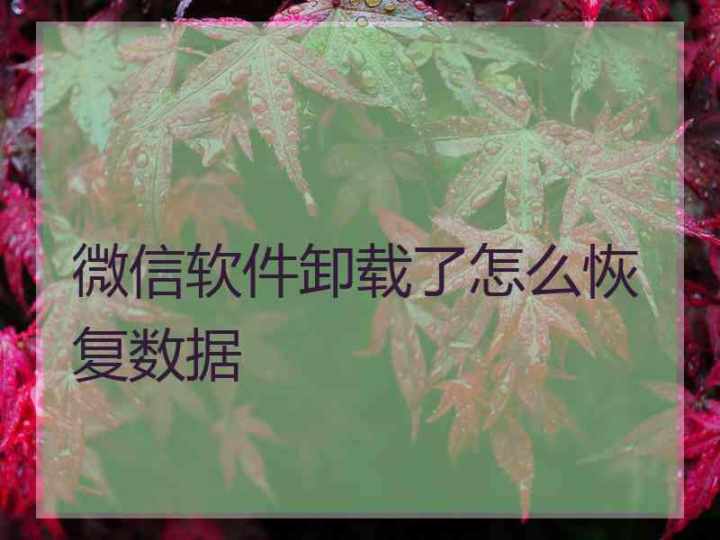 微信软件卸载了怎么恢复数据