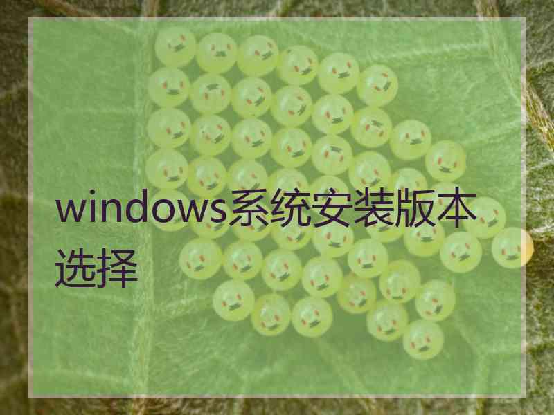 windows系统安装版本选择